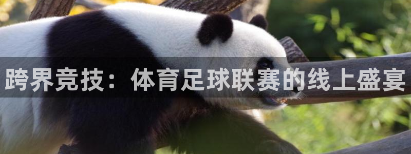 跨界竞技：体育足球联赛的线上盛宴