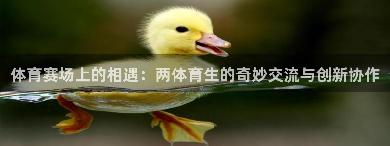 体育赛场上的相遇：两体育生的奇妙交流与创新协作