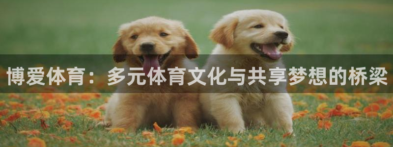 博爱体育：多元体育文化与共享梦想的桥梁