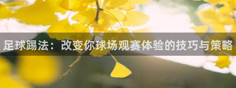 足球踢法：改变你球场观赛体验的技巧与策略