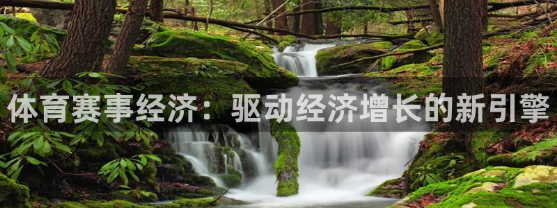 体育赛事经济：驱动经济增长的新引擎