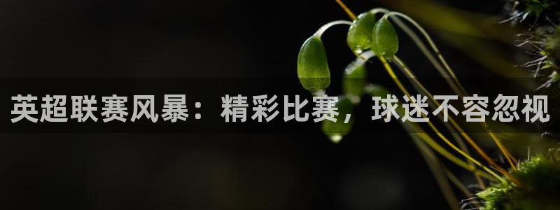 英超联赛风暴：精彩比赛，球迷不容忽视