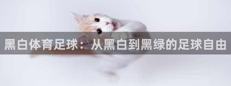 360体育直播网