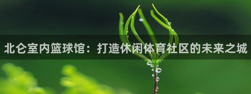360直播免费足球直播：北仑室内篮球馆：打造休闲体育社区的未来之城