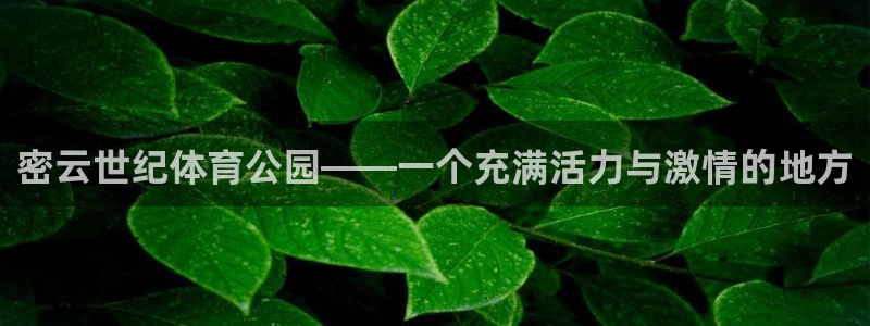 360app官方下载手机版：密云世纪体育公园——一个充满活力与激情的地方