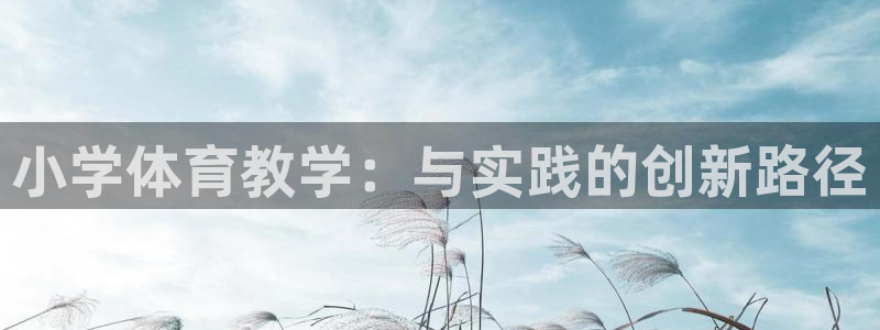360篮球在线直播：小学体育教学：与实践的创新路径