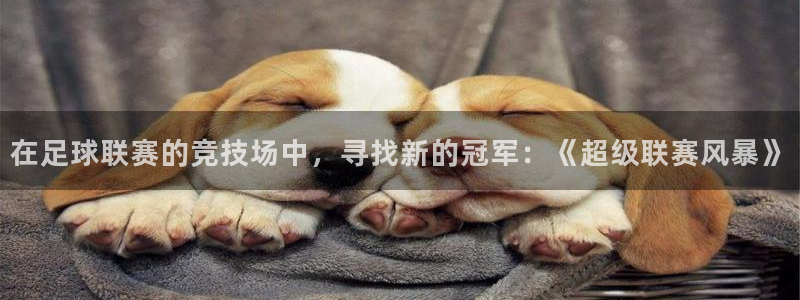 360足球直播吧：在足球联赛的竞技场中，寻找新的冠军：《超级联赛风暴》